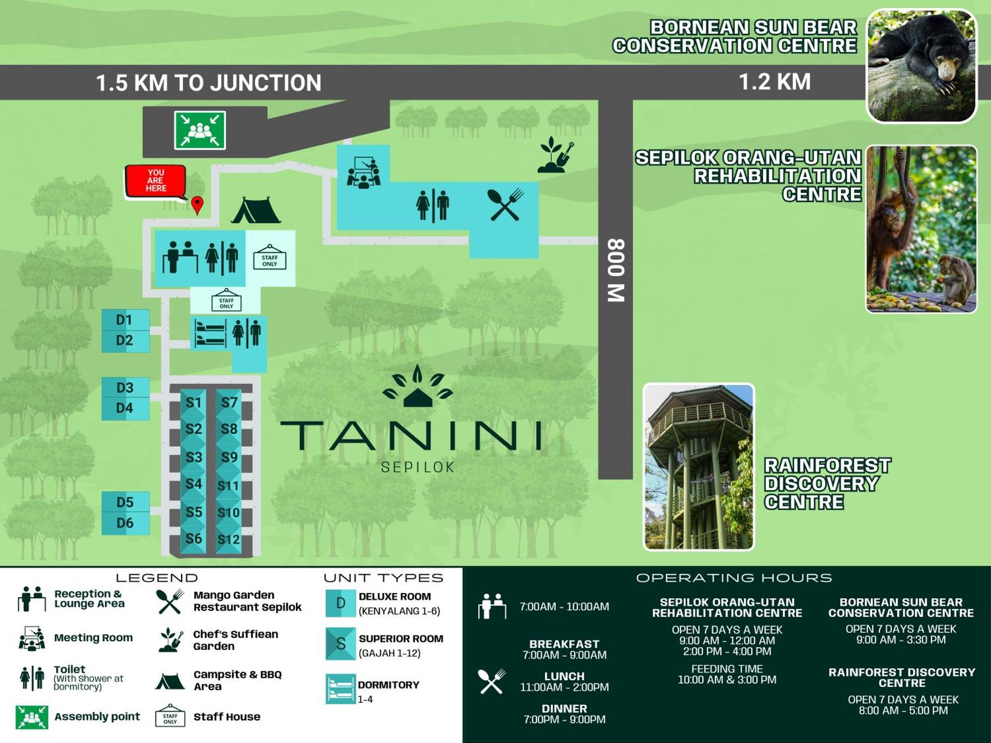 Tanini Sepilok Formerly Known As Nature Lodge ספילוק מראה חיצוני תמונה